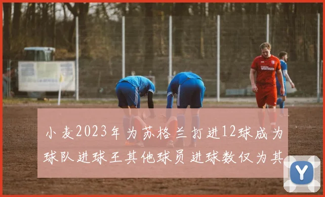 小麦2023年为苏格兰打进12球成为球队进球王其他球员进球数仅为其一半